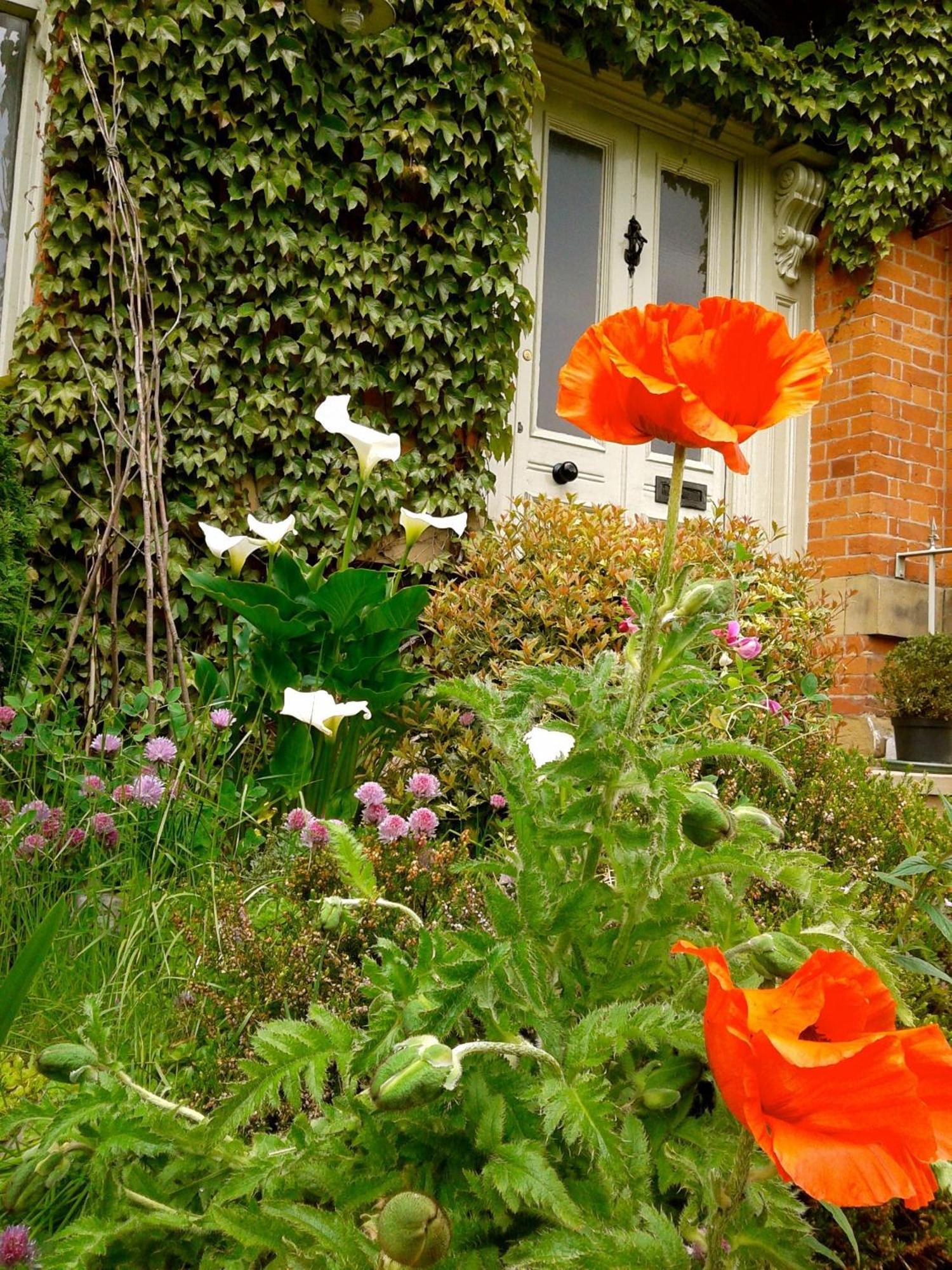 Cornerstones Guest House セール エクステリア 写真